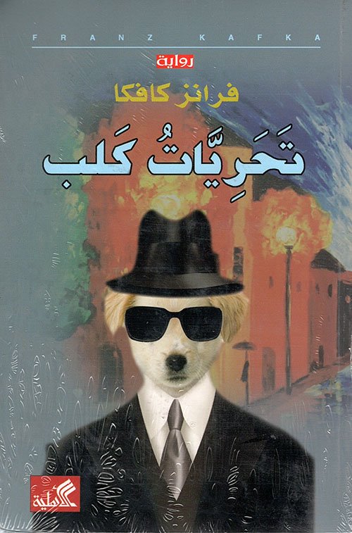 vcd.jpg